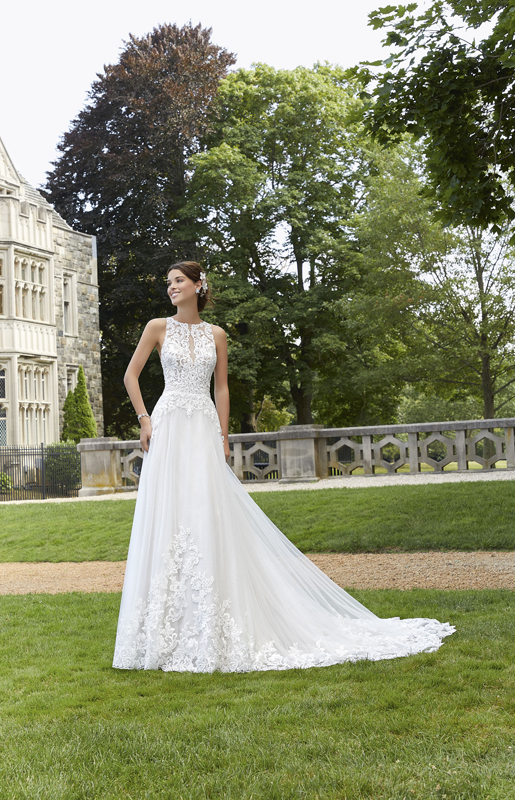 Mori lee